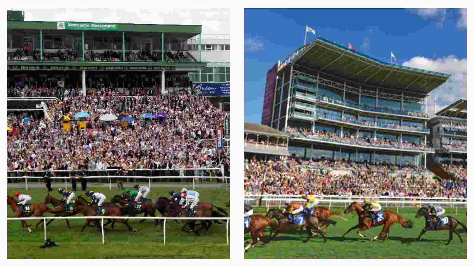 newcastle and york racecourse