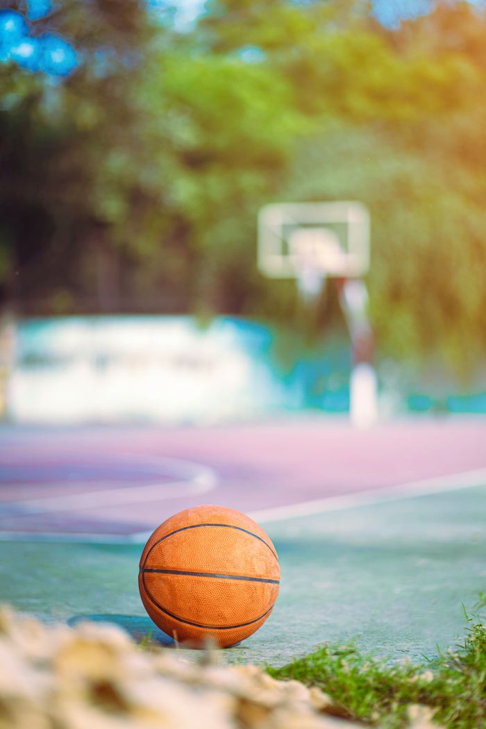 Pexels Photo 15305007