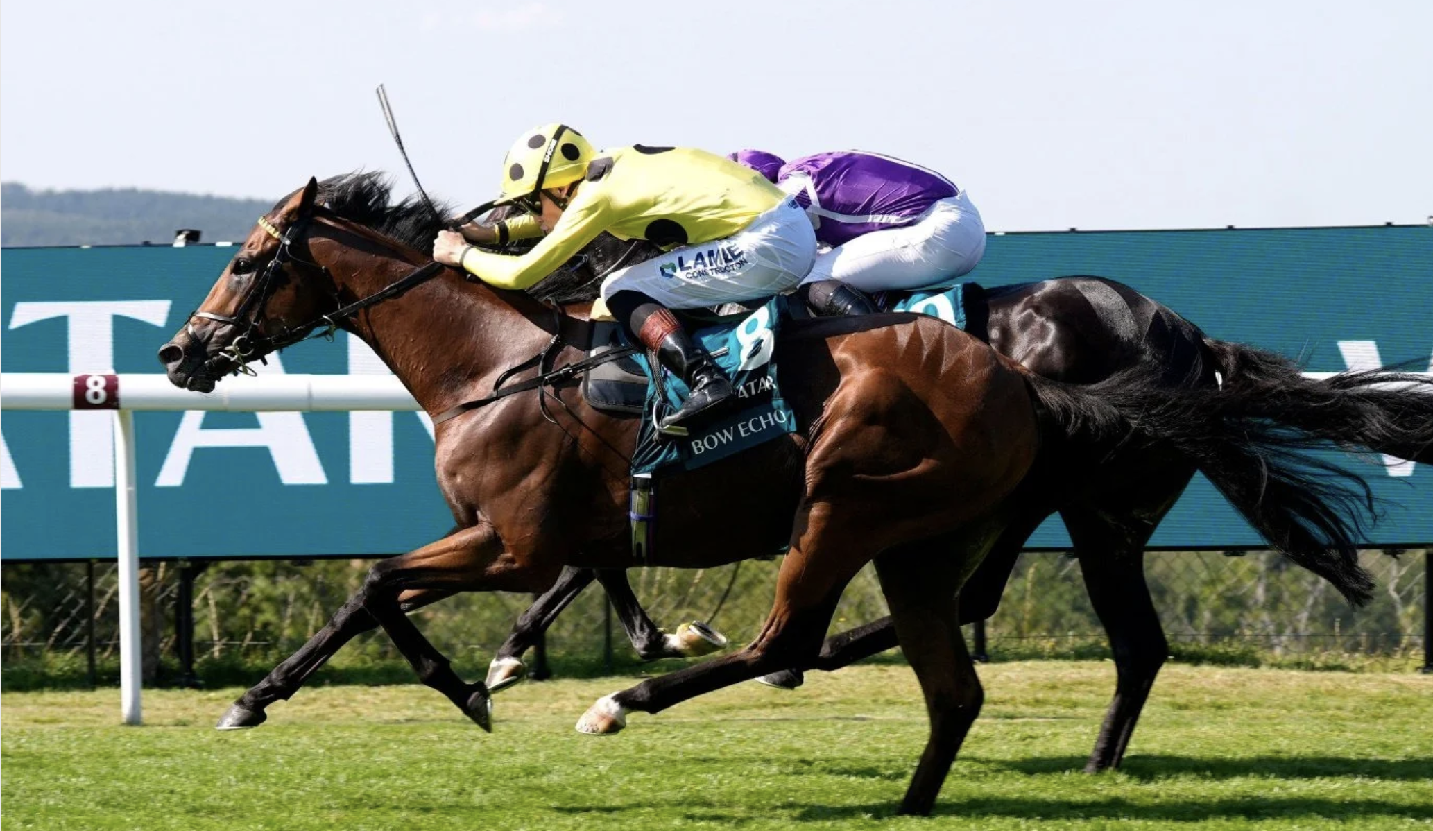 Frankel’s dominance over Bow Echo in mile ratings
